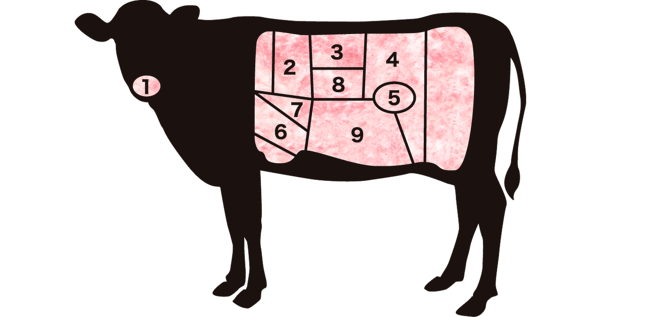 牛肉の部位